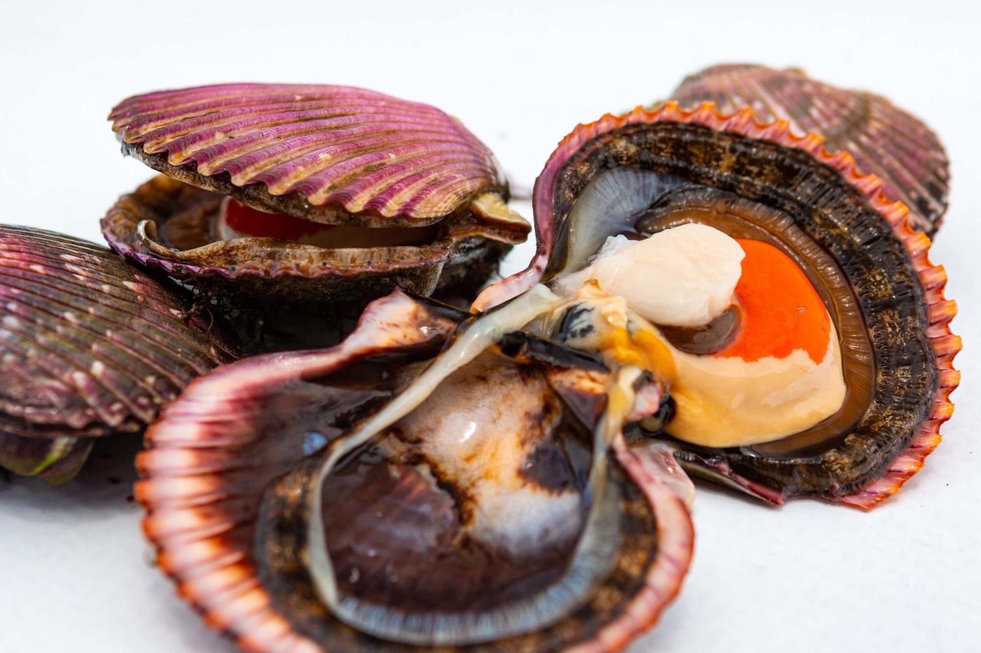Hotel Paracas, A Luxury Collection Resort, Paracas Luaran gambar Scallops